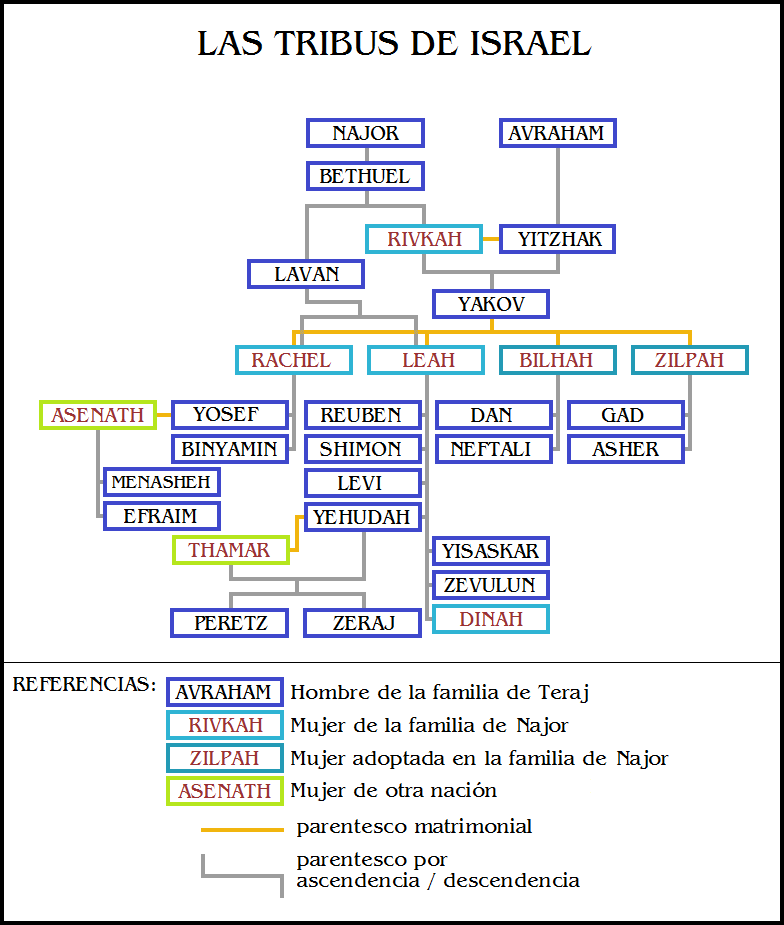 censura Vaciar la basura Pizza arbol genealogico de las 12 tribus de israel Me gusta Elocuente